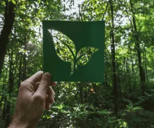 Eco-friendly printing and sustainable printing techniques