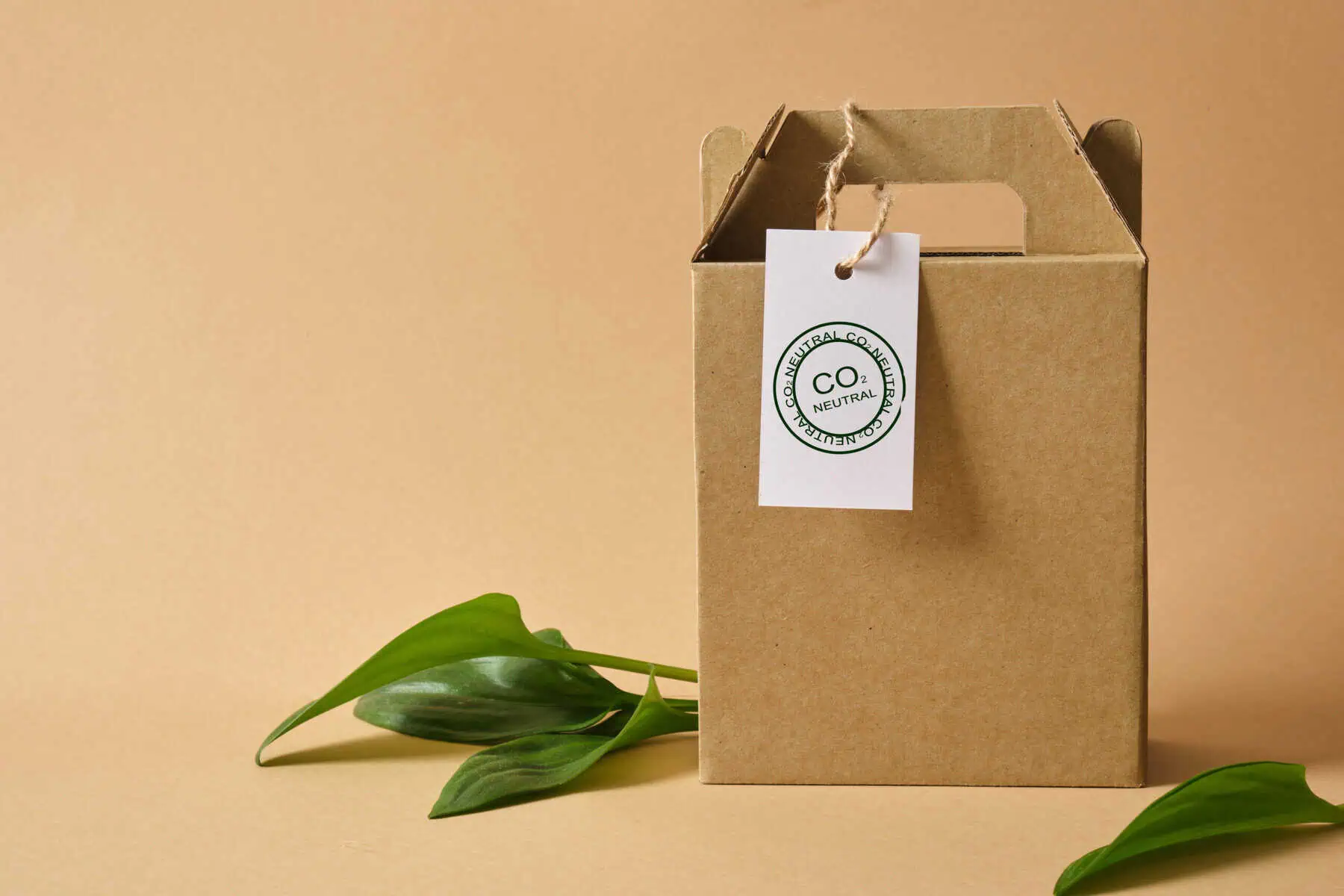 Sustainable Packaging: How Folding Cartons Support a Greener World