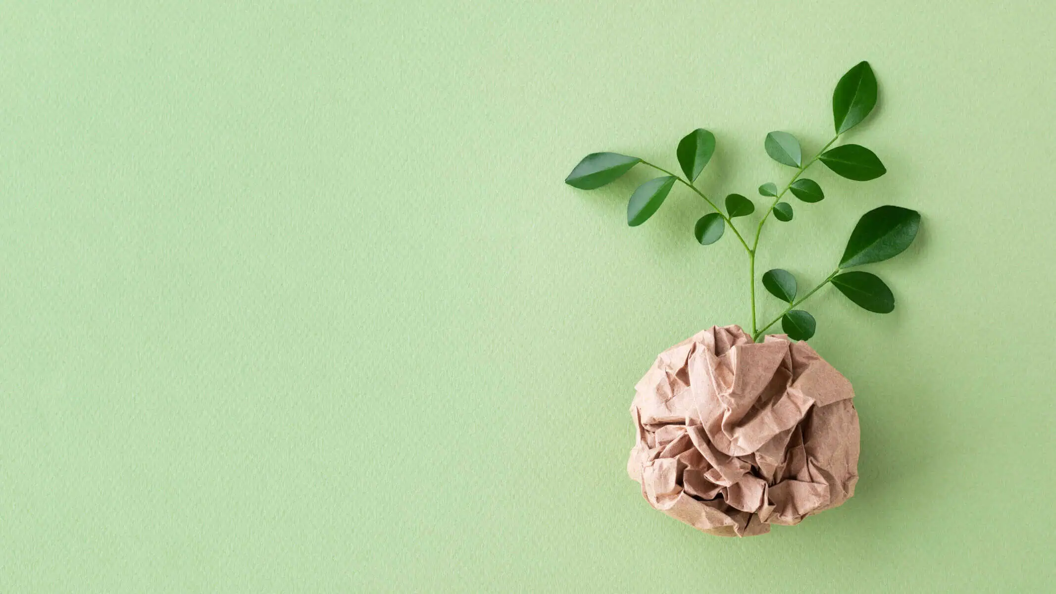 Recycled paper is just the beginning for sustainable printing